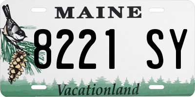 ME license plate 8221SY
