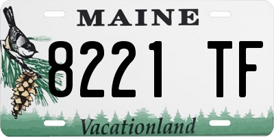 ME license plate 8221TF