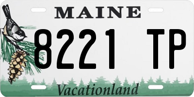 ME license plate 8221TP