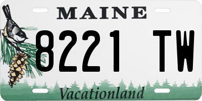 ME license plate 8221TW