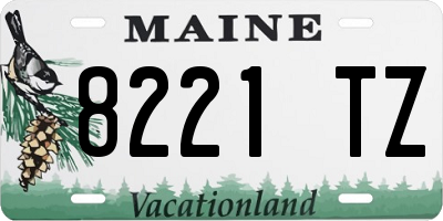 ME license plate 8221TZ