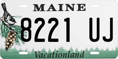 ME license plate 8221UJ