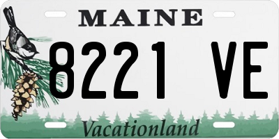 ME license plate 8221VE