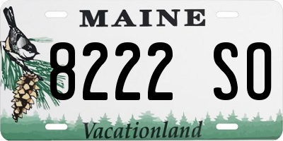 ME license plate 8222SO