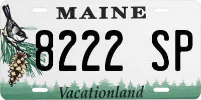 ME license plate 8222SP