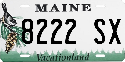 ME license plate 8222SX