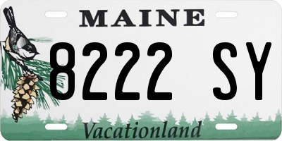ME license plate 8222SY