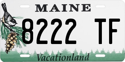 ME license plate 8222TF