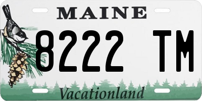 ME license plate 8222TM