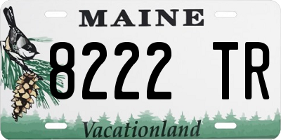 ME license plate 8222TR
