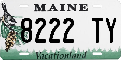 ME license plate 8222TY
