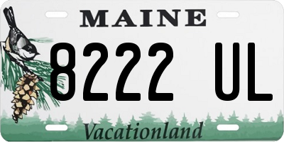 ME license plate 8222UL