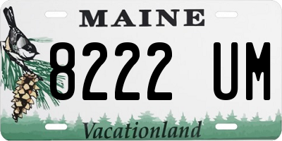 ME license plate 8222UM