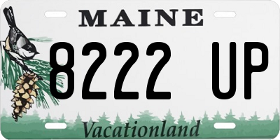 ME license plate 8222UP