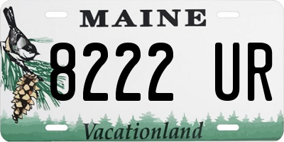 ME license plate 8222UR