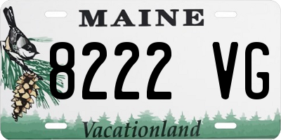 ME license plate 8222VG