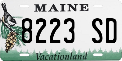 ME license plate 8223SD