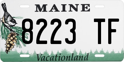 ME license plate 8223TF