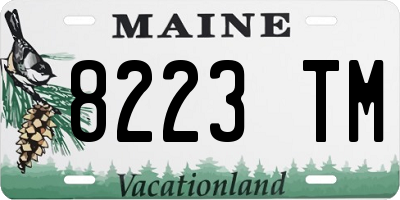 ME license plate 8223TM