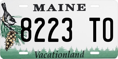 ME license plate 8223TO