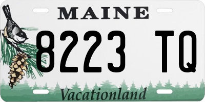 ME license plate 8223TQ