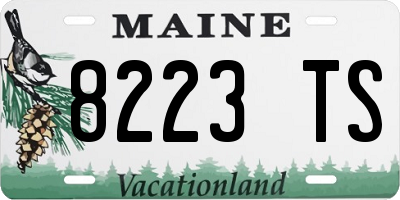 ME license plate 8223TS