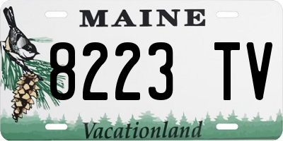 ME license plate 8223TV