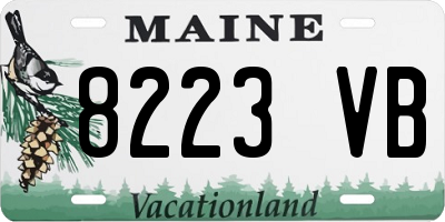 ME license plate 8223VB