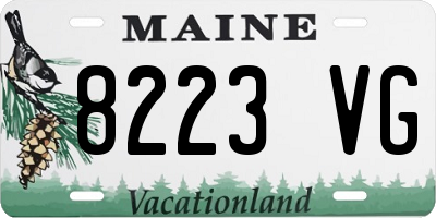 ME license plate 8223VG