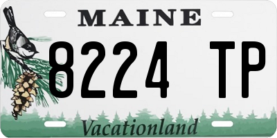 ME license plate 8224TP