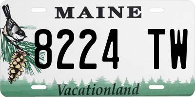 ME license plate 8224TW