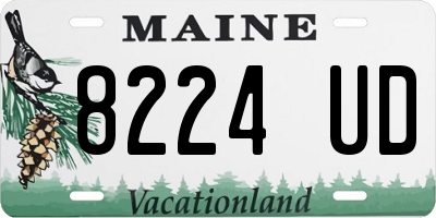 ME license plate 8224UD