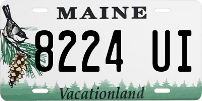 ME license plate 8224UI