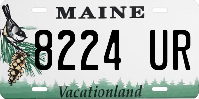 ME license plate 8224UR