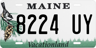 ME license plate 8224UY