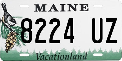 ME license plate 8224UZ