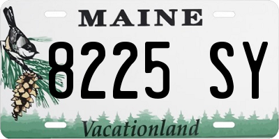 ME license plate 8225SY