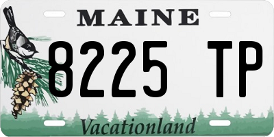 ME license plate 8225TP