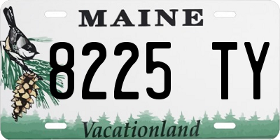 ME license plate 8225TY