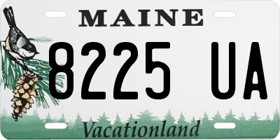 ME license plate 8225UA