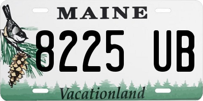 ME license plate 8225UB