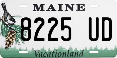 ME license plate 8225UD