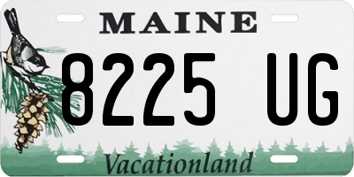 ME license plate 8225UG