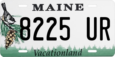 ME license plate 8225UR