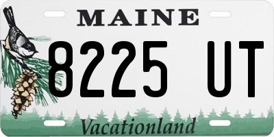 ME license plate 8225UT
