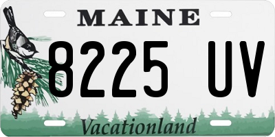 ME license plate 8225UV