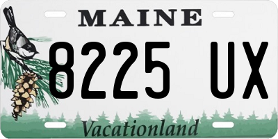 ME license plate 8225UX