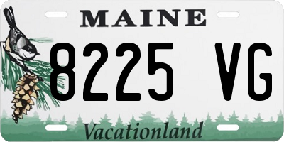 ME license plate 8225VG