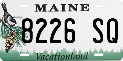 ME license plate 8226SQ