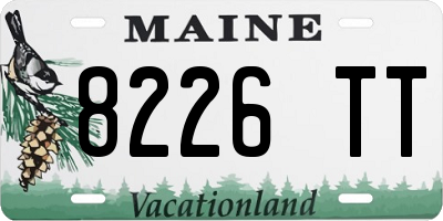 ME license plate 8226TT